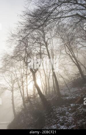 Sole che splende attraverso la nebbia e gli alberi in inverno sul canale a Llanfoist, Galles, Regno Unito Foto Stock