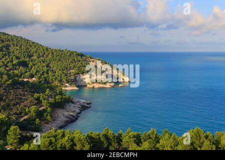 Costa delle Apule,Parco Nazionale del Gargano: Spiaggia del Pugno chiuso. Vieste, Italy. La baia è delimitata da meravigliose colline ricoperte da pini secolari. Foto Stock