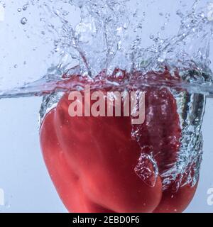 Primo piano di un peperone rosso maturo che cade nel acqua su sfondo blu Foto Stock