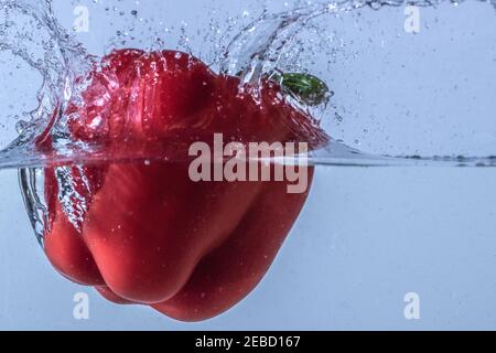 Primo piano di un peperone rosso maturo che cade nel acqua su sfondo blu Foto Stock