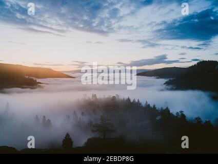 Alba al Donner Pass con la fresca nebbia mattutina che si avvolse poll Foto Stock