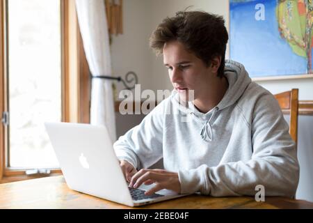 Uno studente di scuola maschile caucasica lavora su un computer portatile Foto Stock