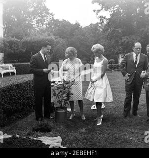 Piantando un cespuglio di rose alla Casa Bianca. Piantando un cespuglio di rose alla Casa Bianca. Assistente speciale al presidente Frederick G. Dutton (secondo da destra); altri non identificati. Ala est, Casa Bianca, Washington, D.C. Foto Stock