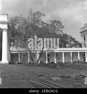 Rose Garden, fotografie di progresso della costruzione. Quattro lavoratori non identificati (dietro a destra) scavano in una sezione del prato, lungo la West Wing Colonnade della Casa Bianca, presso il sito di costruzione Rose Garden. Washington, D.C. Foto Stock