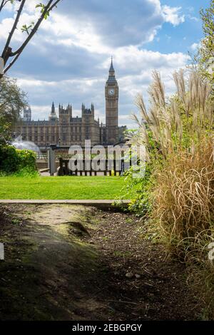 Vista del Big ben dai terreni del St Thomas' Hospital, Londra, Regno Unito Foto Stock