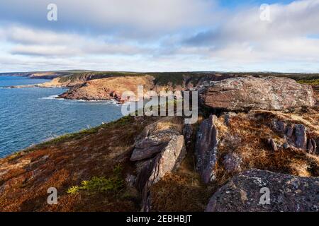 Litorale in inverno, licheni sulle rocce, San sposa, Terranova, Canada Foto Stock