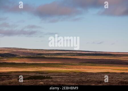 barrens in inverno, St. Bride's, Terranova, Canada Foto Stock