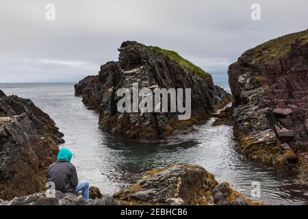 Ragazzo in felpa con cappuccio seduto sulla costa rocciosa dell'Atlantico il giorno nuvoloso, St. Bride's, Terranova Foto Stock