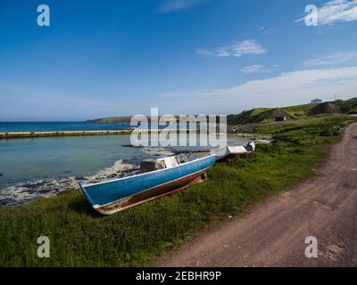 Porto e barche da pesca, St. Bride's, Terranova, Canada Foto Stock