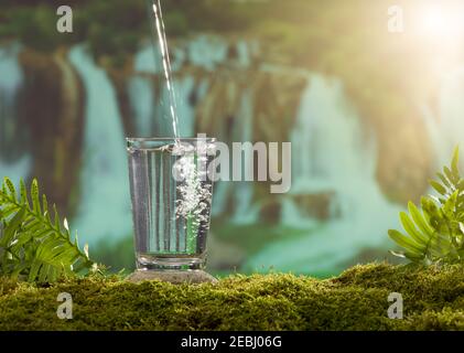 Un bicchiere d'acqua su una pietra ricoperta di muschio. Lo sfondo della foresta è cascata Foto Stock