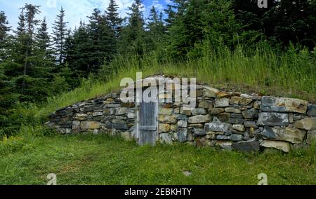 Splendidamente paesaggistica erba tumificata radice cantina circondata da alberi nella campagna Elliston, Terranova e Labrador, Canada. Foto Stock