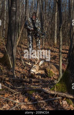 Il cacciatore di crossbow si avvicina alla sua uccisione nel Wisconsin settentrionale. Foto Stock