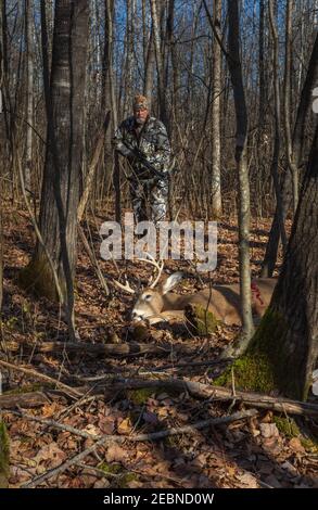 Il cacciatore di crossbow si avvicina alla sua uccisione nel Wisconsin settentrionale. Foto Stock