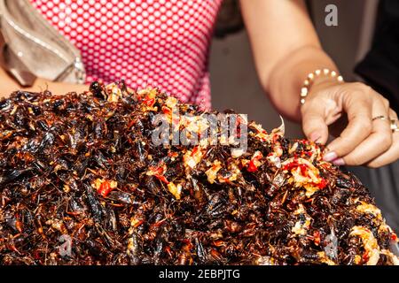 Insetti fritti in vendita in asia trovati in Cambogia, Vietnam, Thailandia Foto Stock