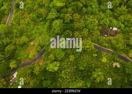 Vista aerea dall'alto di un'auto che guida su strada attraverso la lussureggiante giungla verde Auto sulla strada che passa casa rurale nella foresta pluviale di Bali, Indonesia Foto Stock
