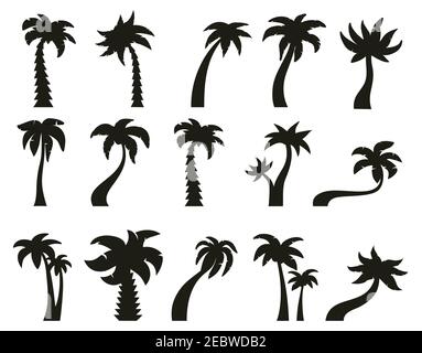 Silhouette di alberi di palma. Palme tropicali botaniche, silhouette hawaiane vintage di palme da cocco. Set di illustrazioni vettoriali di palme verdi esotiche Illustrazione Vettoriale