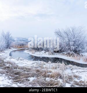 USA, Idaho, Bellevue, paesaggio invernale con ruscelli e alberi Foto Stock