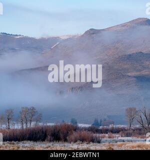 USA, Idaho, Bellevue, paesaggio invernale con montagne in nebbia Foto Stock