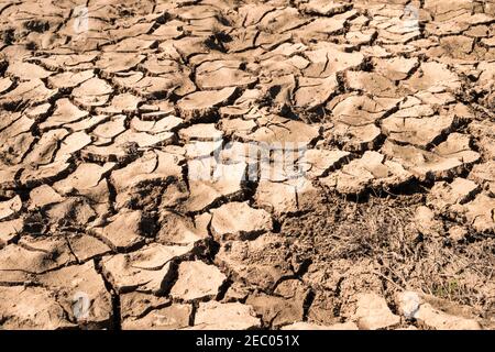 Asciugò su, parched, suolo cracked. Estate nel sud-est dell'Inghilterra, GB, Regno Unito Foto Stock