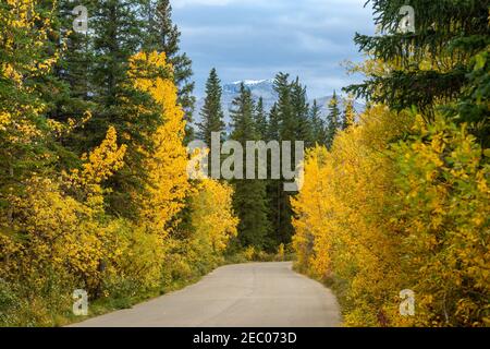 Vermilion Lakes Road in autunno fogliame stagione giorno di sole. Banff Legacy Trail, Banff National Park, Canadian Rockies, Alberta, Canada. Foto Stock