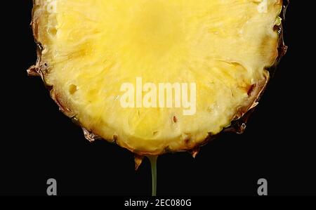 il succo di ananas appena spremuto scorre dalla fetta di frutta matura primo piano - su sfondo nero Foto Stock