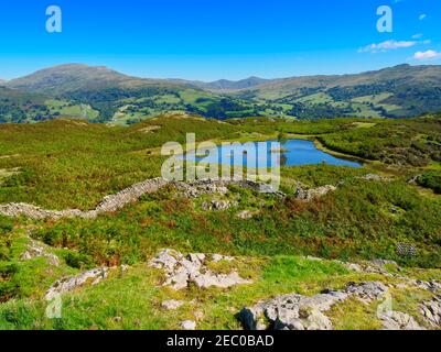 Loughrigg cadde con Lily Tarn e le campane che circondano Ambleside sullo sfondo, Lake District, Cumbria Foto Stock