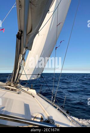 Yacht a vela lontano dalle teste del porto di Sydney, in una giornata tranquilla e soleggiata. Vista dall'abitacolo della barca sull'orizzonte, con l'oceano calmo davanti Foto Stock