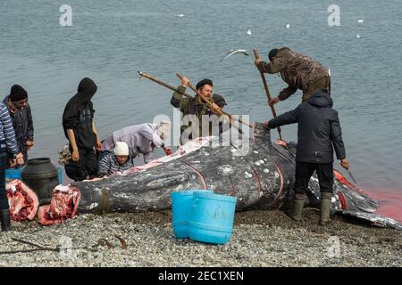 Lavrentia, regione di Chukotski, Russia - 5 agosto 2020: I nativi di Chukotka hanno catturato una balena e ora la stanno tagliando a pezzi. Foto Stock