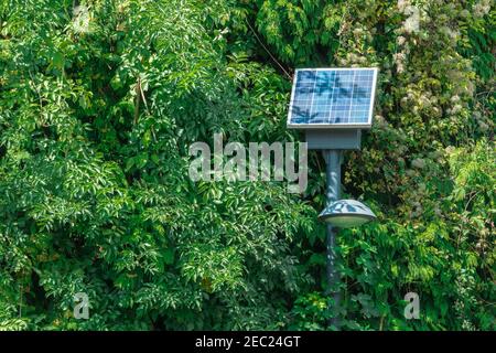 Lampada da strada a energia solare nel parco tra alberi, verde fogliame sfondo. Energia pulita e rinnovabile. Foto Stock