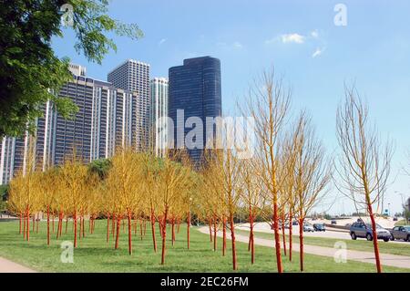 Painted Trees at Lakeshore Drive in Chicago (luglio 2010) Foto Stock