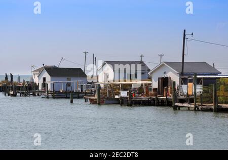 Capanne da pesca, Tangeri Island, Chesapeake Bay, Virginia Foto Stock
