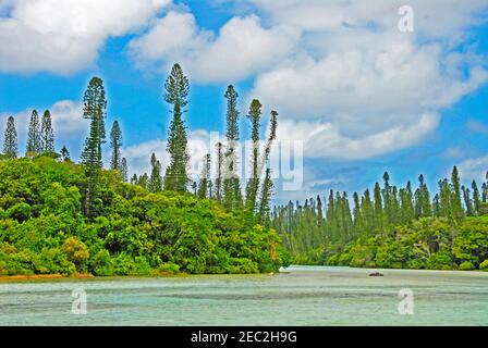 Baia d'oro, isola di Pines, Nuova Caledonia, Francia Foto Stock