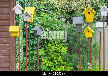 Scatole di nidificazione in legno colorate fatte a mano in strada rurale, case di uccelli come simbolo della primavera, stagione di nidificazione Foto Stock