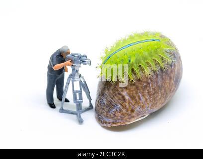 Cameraman in miniatura e caterpillar verde. Operatore al lavoro che spara animali tropicali. Cameraman modello minuscolo e insetto. Concetto di lavoro per videografo. Tropi Foto Stock