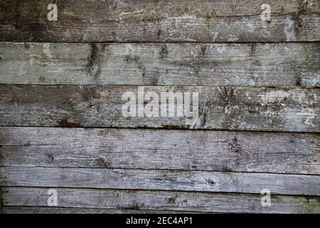 Vecchio rustico pannelli di legno texture Foto Stock