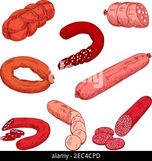 Prodotti a base di carne di salsiccia come wurst o kielbasa. Cibo di manzo, maiale o vitello e amido alla griglia o al forno. Concetto di nutrizione con polacco o. Illustrazione Vettoriale