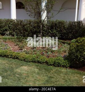 Ricostruzione del Giardino delle Rose, foto di avanzamento. Vista del progresso della costruzione del Giardino delle Rose. White House, Washington, D.C. Foto Stock