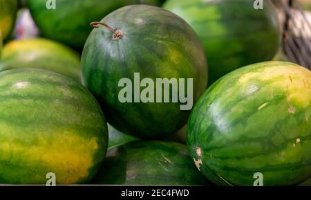 Cocomeri freschi in vendita presso un mercato agricolo. Molti grandi cocomeri verdi dolci Foto Stock