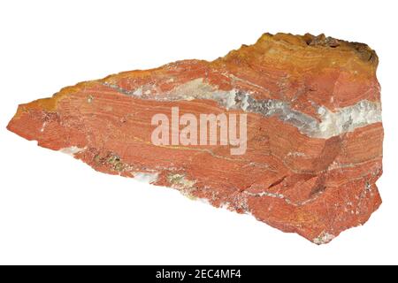 Red jasper dal Sud Africa isolato su sfondo bianco Foto Stock