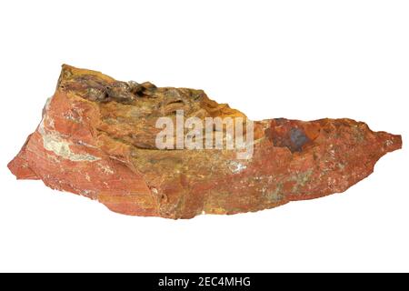 Red jasper dal Sud Africa isolato su sfondo bianco Foto Stock
