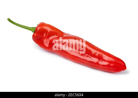Un solo peperoncino rosso fresco isolato su sfondo bianco Foto Stock