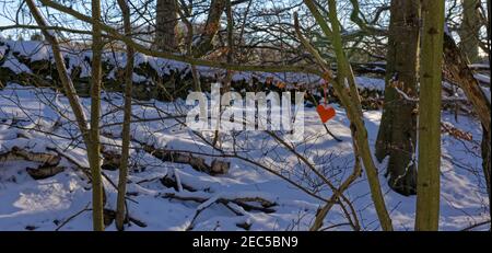 Un piccolo cuore lavorato a maglia rosso appeso ad un piccolo ramo di un albero su un sentiero in Arbroath a Colliston Village, con neve fitta che copre il terreno. Foto Stock