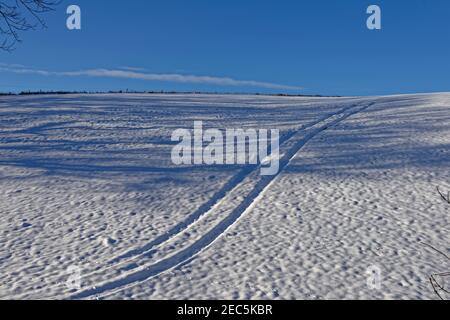 Neve profonda che ricopre i cingoli del trattore a forma di S su un campo in pendenza, con impronte di animali e tracce visibili sulla superficie della neve profonda. Foto Stock