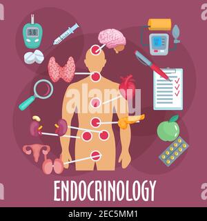 Endocrinology icona medica del corpo umano con importanti organi interni e ghiandole endocrine, pillole e iniezione di insulina, modulo di controllo medico, gl Illustrazione Vettoriale