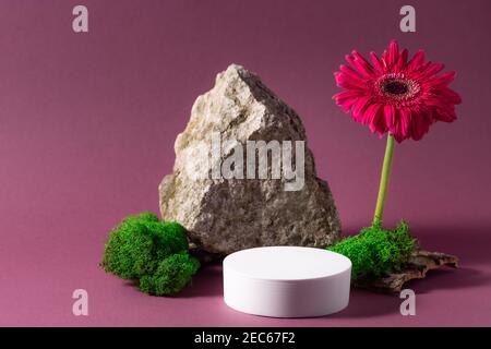 Esposizione minima del prodotto con podio bianco, pietra, muschio e fiore di gerbera Foto Stock