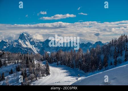 Sul Monte Zoncolan, alpi Carniche dopo una grande nevicata. Provincia di Udine, regione Friuli-Venezia Giulia, Italia Foto Stock