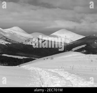 Scala di grigi. Tracce di slittino e impronte sulla cima della montagna invernale e neve coperta alp Chornohora cresta (Ucraina, Carpazi, tranquillità p Foto Stock