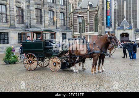 Carrozza con due cavalli in piazza Dam ad Amsterdam, Paesi Bassi. Foto Stock