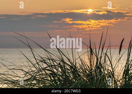 Splendido tramonto sulla spiaggia di mare con erba, sfondo ardente con vista mare Foto Stock