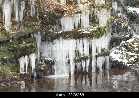 Gartness, Stirling, Scozia, Regno Unito. 13 Feb 2021. Tempo nel Regno Unito: Il tempo rimane amaramente freddo con ghiaccio e docce di neve nel villaggio di Gartness. Foto - icicles sulle rive di Endick Water Credit: Kay Roxby/Alamy Live News Foto Stock